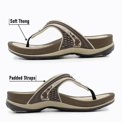 Women Signature: 5893 Brown